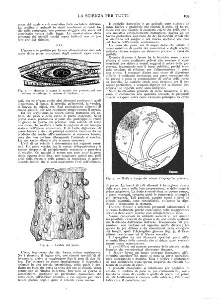 La scienza per tutti giornale popolare illustrato