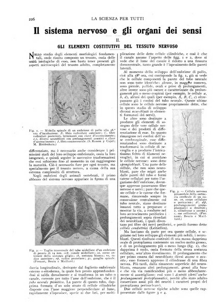 La scienza per tutti giornale popolare illustrato