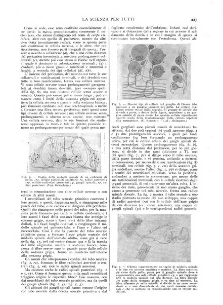 La scienza per tutti giornale popolare illustrato