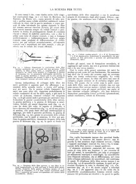 La scienza per tutti giornale popolare illustrato