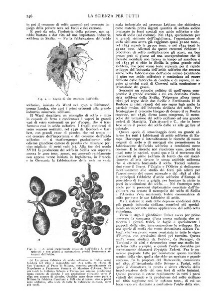 La scienza per tutti giornale popolare illustrato