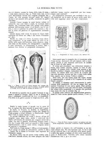 La scienza per tutti giornale popolare illustrato