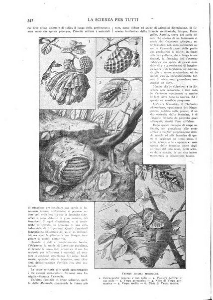 La scienza per tutti giornale popolare illustrato