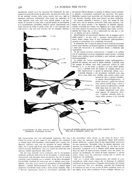 La scienza per tutti giornale popolare illustrato