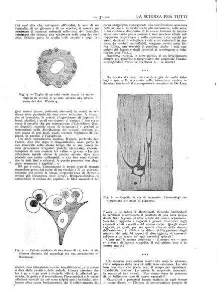 La scienza per tutti giornale popolare illustrato