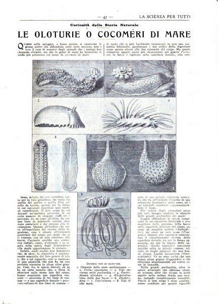 La scienza per tutti giornale popolare illustrato