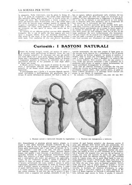 La scienza per tutti giornale popolare illustrato