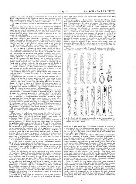 La scienza per tutti giornale popolare illustrato