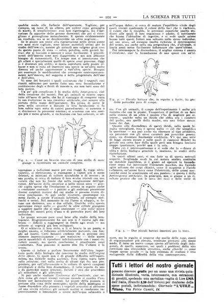 La scienza per tutti giornale popolare illustrato