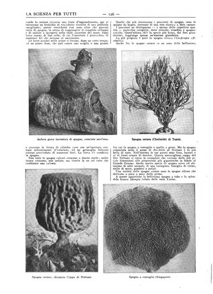 La scienza per tutti giornale popolare illustrato