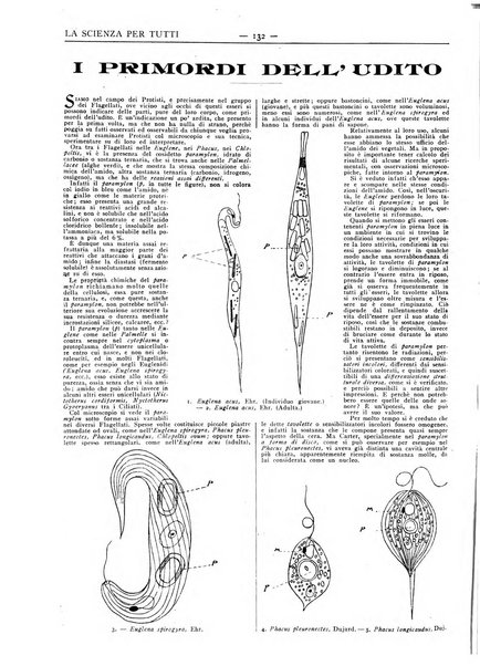 La scienza per tutti giornale popolare illustrato