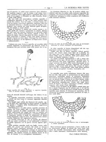 La scienza per tutti giornale popolare illustrato