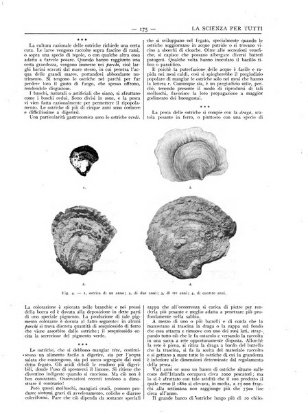 La scienza per tutti giornale popolare illustrato