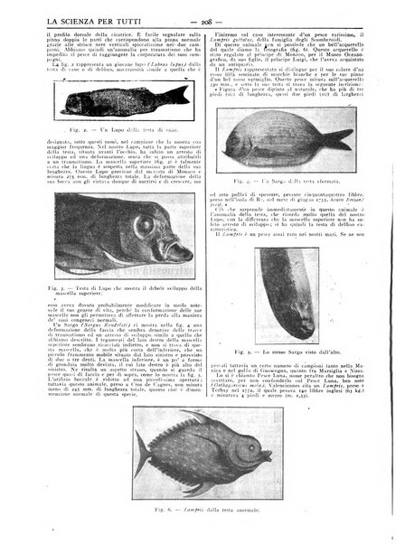 La scienza per tutti giornale popolare illustrato