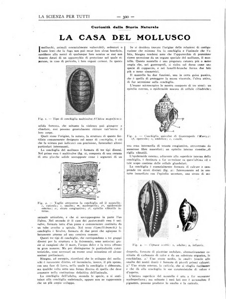 La scienza per tutti giornale popolare illustrato