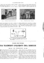 giornale/TO00194960/1913/unico/00000049