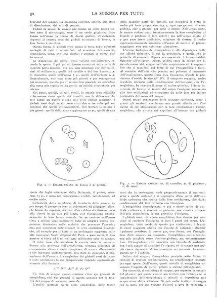 La scienza per tutti giornale popolare illustrato