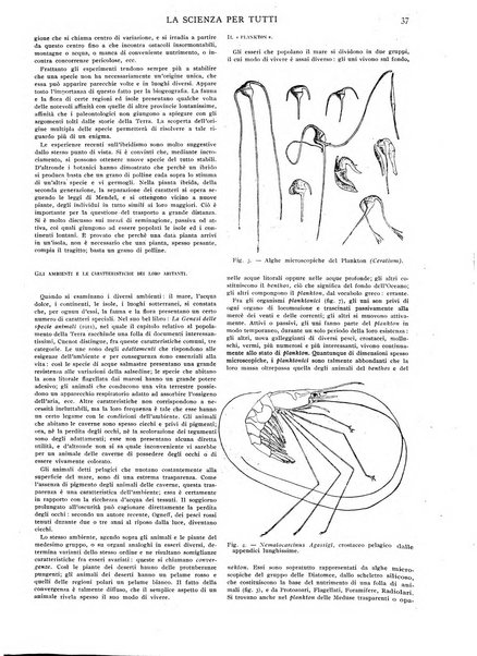 La scienza per tutti giornale popolare illustrato