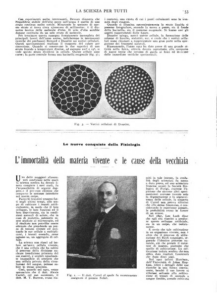 La scienza per tutti giornale popolare illustrato