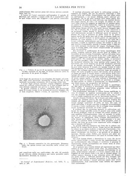 La scienza per tutti giornale popolare illustrato