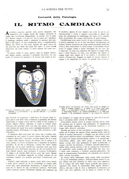 La scienza per tutti giornale popolare illustrato