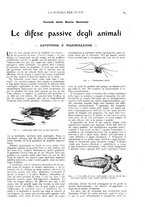 giornale/TO00194960/1913/unico/00000109