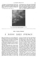 giornale/TO00194960/1913/unico/00000155