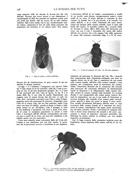 La scienza per tutti giornale popolare illustrato