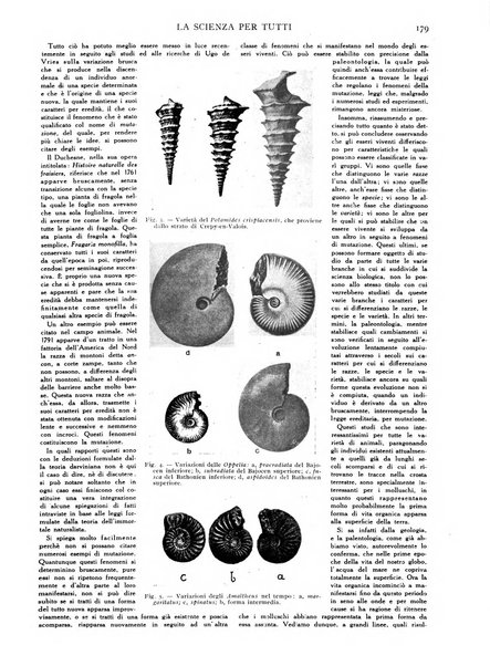 La scienza per tutti giornale popolare illustrato