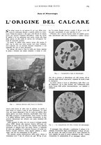 giornale/TO00194960/1913/unico/00000209