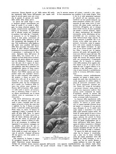 La scienza per tutti giornale popolare illustrato