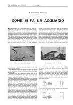 giornale/TO00194960/1913/unico/00000410