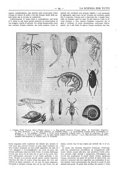 La scienza per tutti giornale popolare illustrato