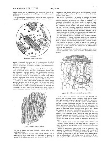 La scienza per tutti giornale popolare illustrato