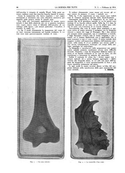 La scienza per tutti giornale popolare illustrato