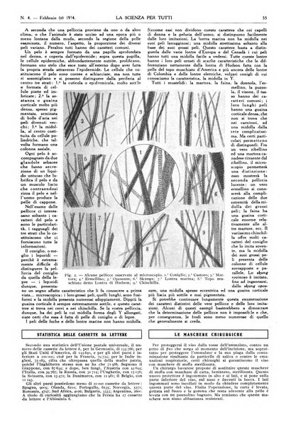 La scienza per tutti giornale popolare illustrato