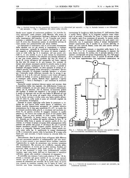 La scienza per tutti giornale popolare illustrato