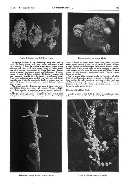 La scienza per tutti giornale popolare illustrato