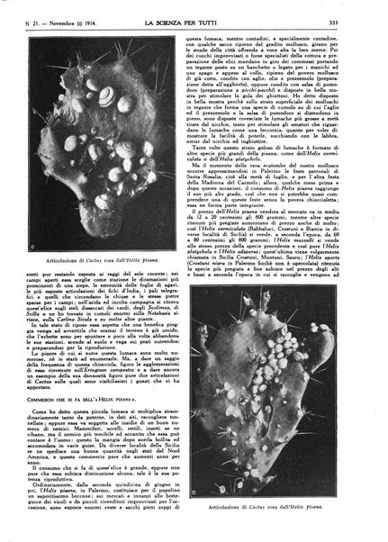 La scienza per tutti giornale popolare illustrato