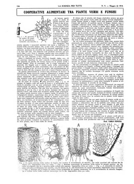 La scienza per tutti giornale popolare illustrato