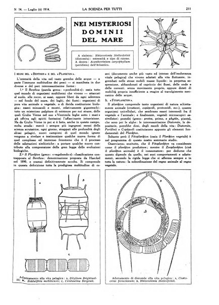 La scienza per tutti giornale popolare illustrato