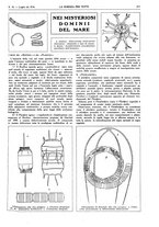 giornale/TO00194960/1914/unico/00000741