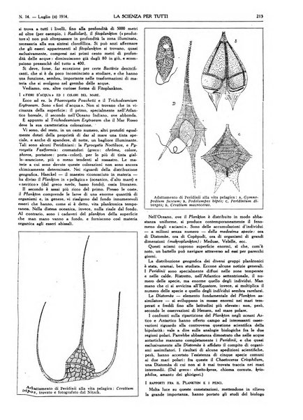 La scienza per tutti giornale popolare illustrato