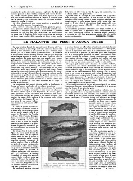 La scienza per tutti giornale popolare illustrato