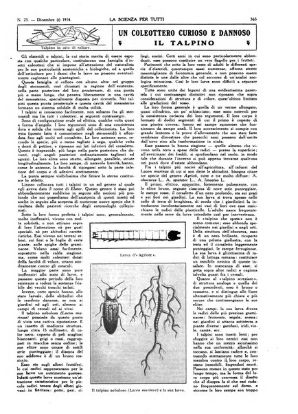 La scienza per tutti giornale popolare illustrato