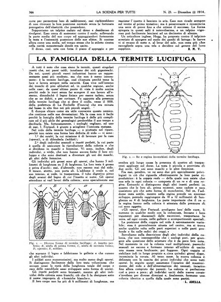 La scienza per tutti giornale popolare illustrato