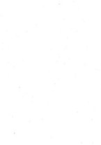 giornale/TO00194960/1915/unico/00000026