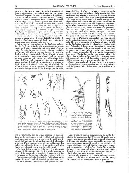 La scienza per tutti giornale popolare illustrato