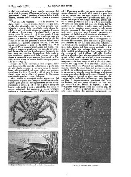 La scienza per tutti giornale popolare illustrato