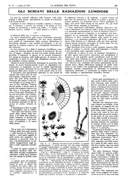 La scienza per tutti giornale popolare illustrato